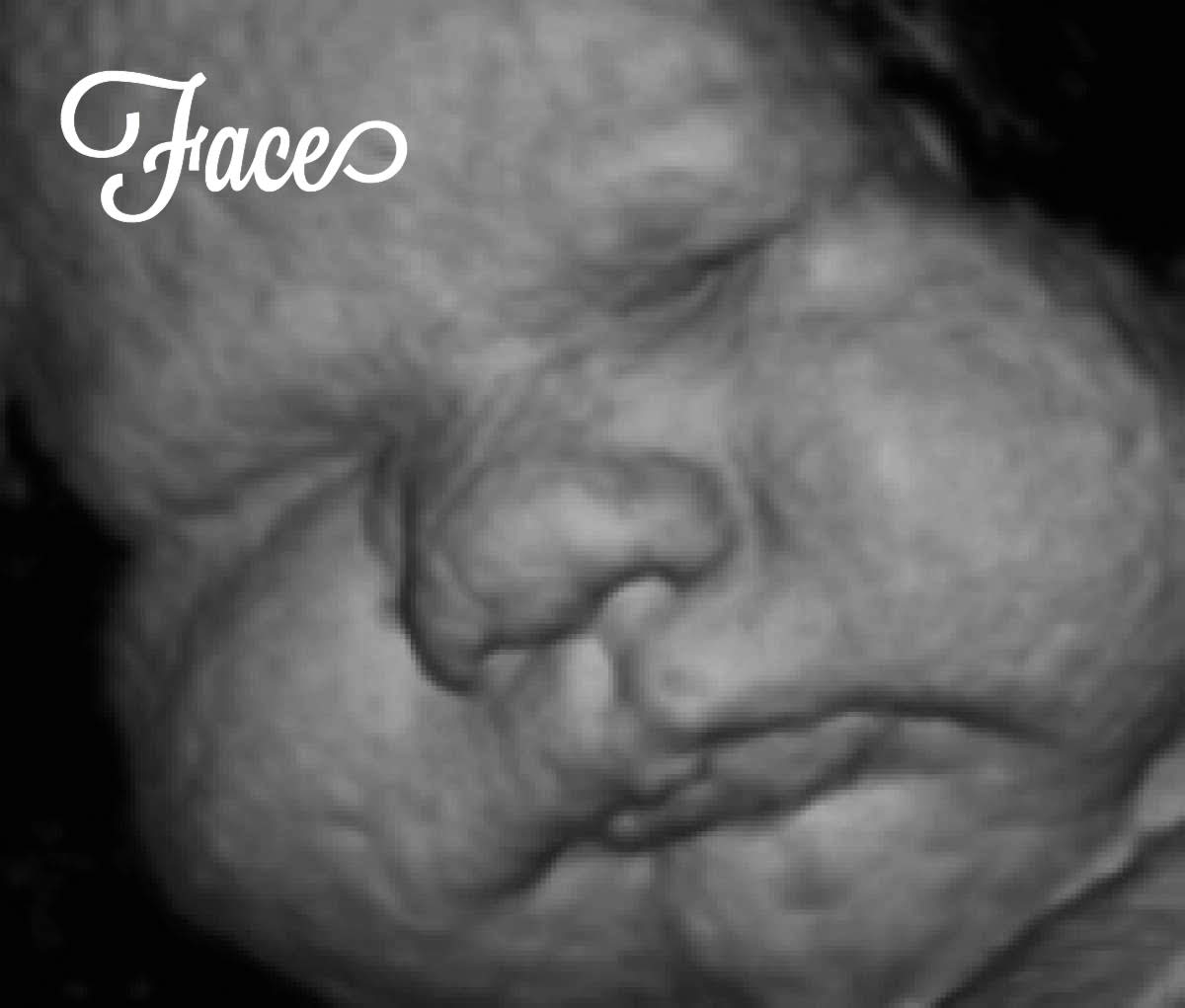40 week pregnancy and ultrasound