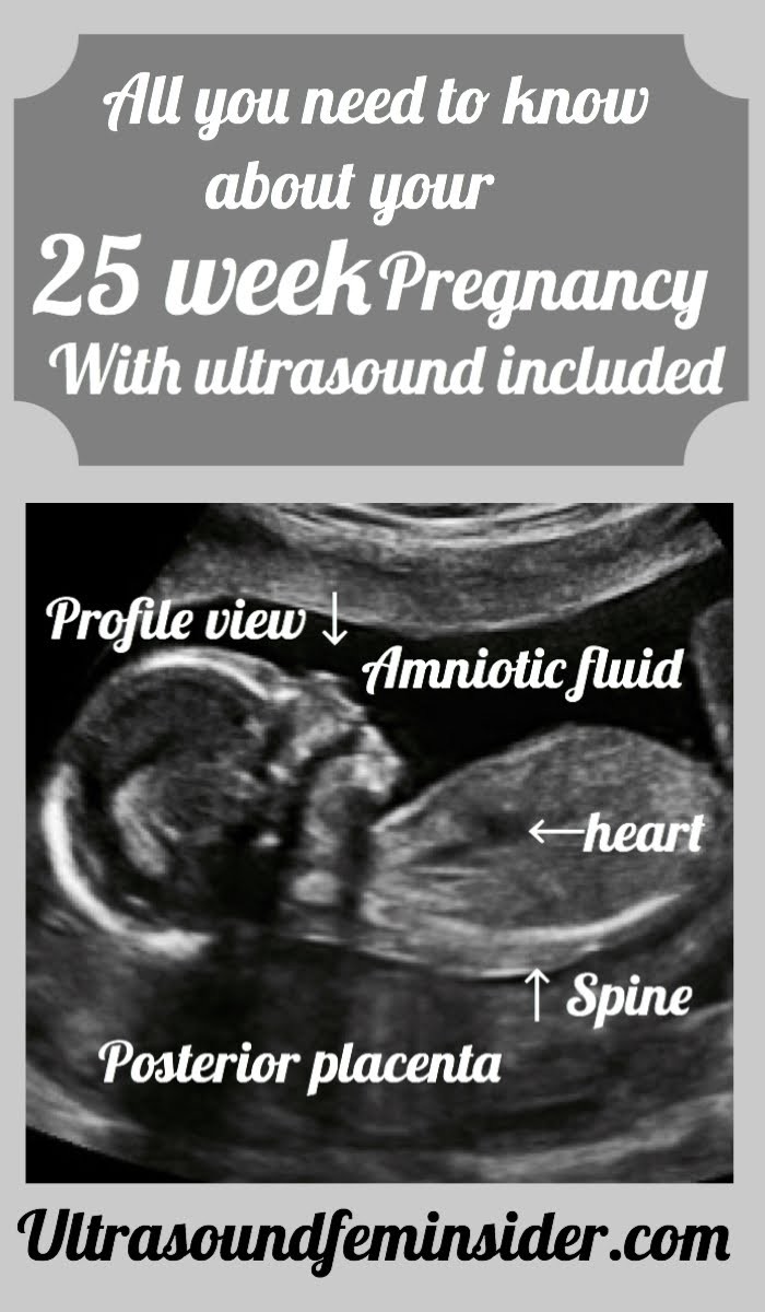 25 week pregnancy and ultrasound