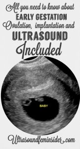 All you need to know about early pregnancy. - Ultrasoundfeminsider