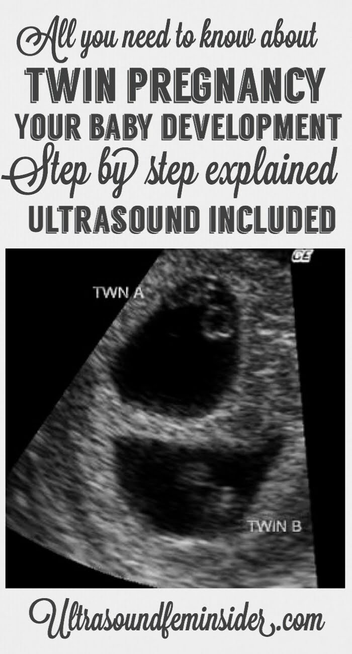 Twin pregnancy ultrasound. As in any pregnancy, single or multiple the ultrasound protocol is the same. The first ultrasound is performed to get measurements for dating purposes, also the heartbeat should be obtained, checking the yolk sacs, amnion and Chorionicity on twins is essential to know how to proceed with the pregnancy.