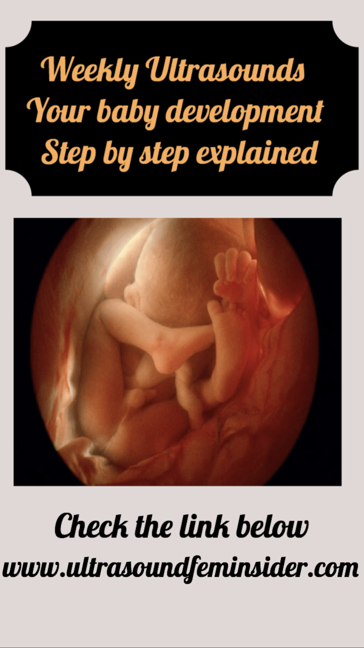 Ultimate guide for your 17 weeks Ultrasound, fetal development.