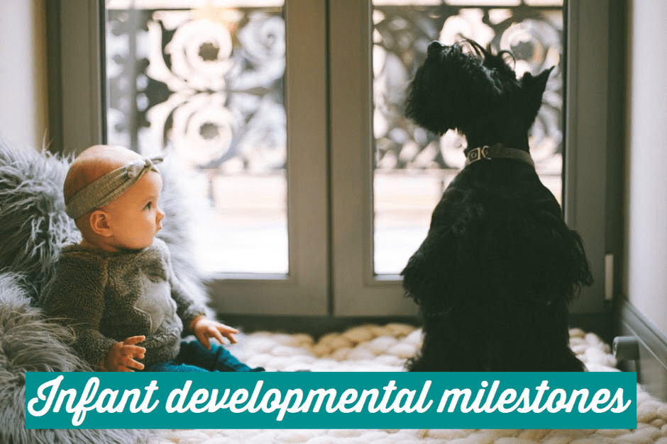 Infant developmental milestones
